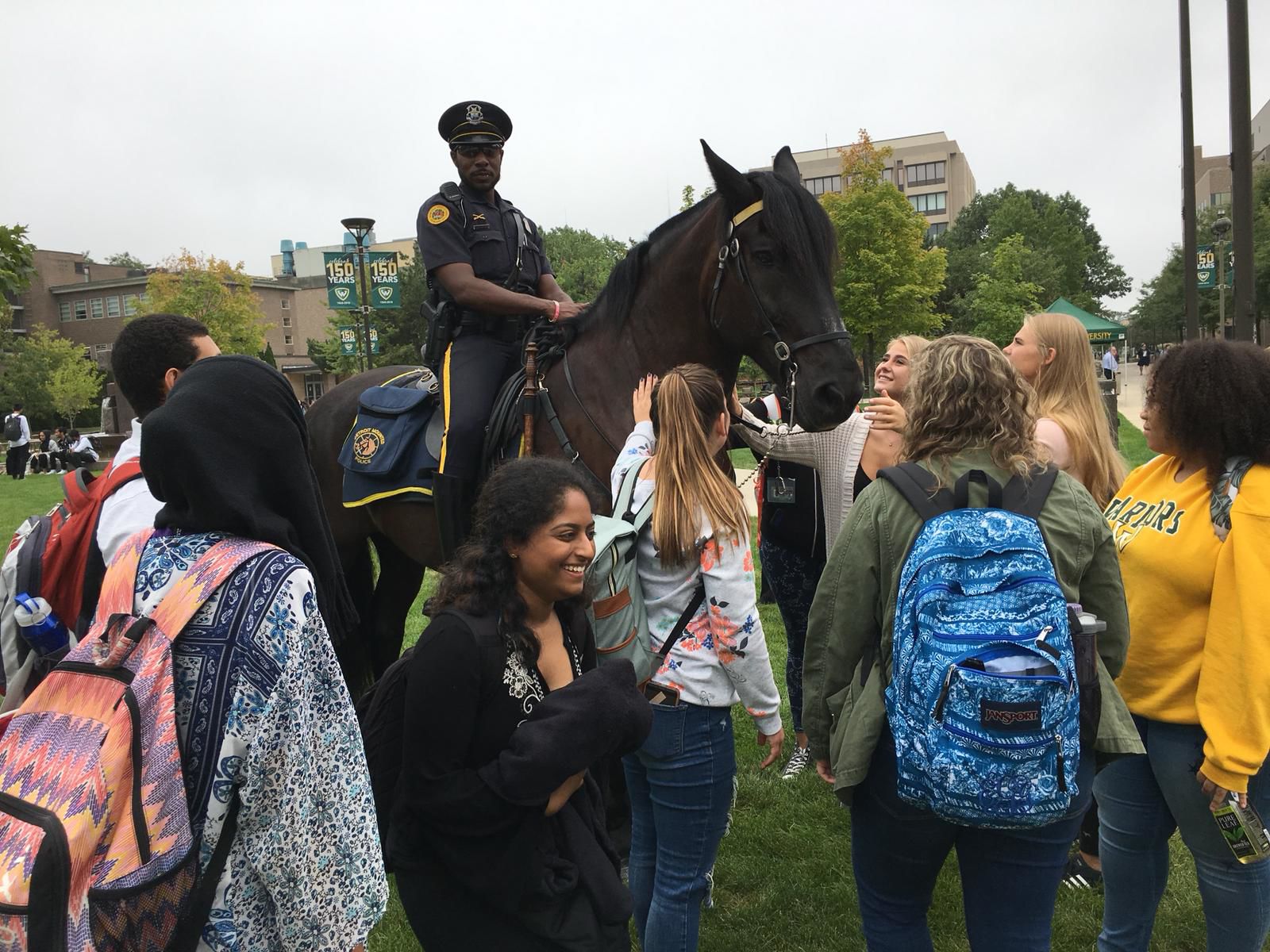 horse cop 2